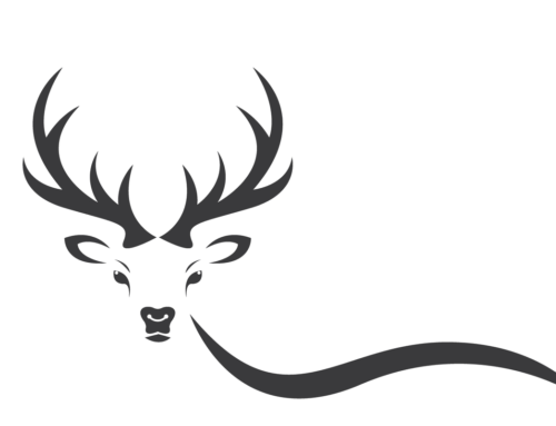 Wildtage 10.10.25 bis 12.10.25