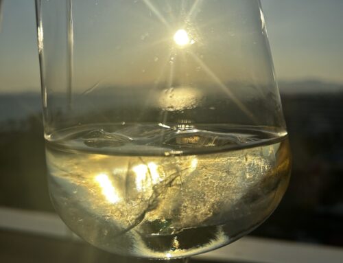 SUN DOWNER ANGEBOT IM JULI 19.30 Uhr bis 21.00 Uhr Antipasti & Wein
